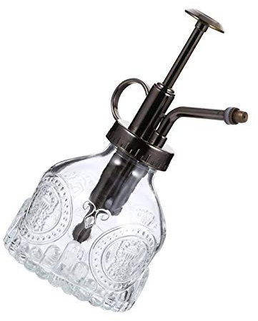 BANGSUN Vintage-Glas-Pflanzensprüher mit Pumpe, kleine Vase, Sprühflasche, wie abgebildet