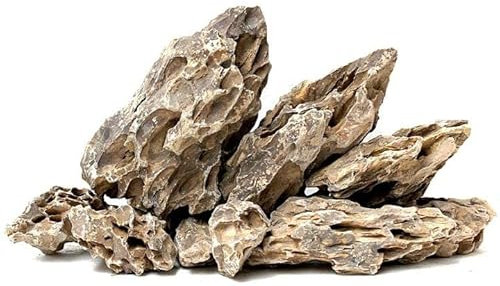 WYSKONT Steine für Aquarium oder Terrarium – Naturdekoration für Aquarien – Marine-Ziersteine – geeignet für Iwagumi-Biotyp – unterstützt Wasserfilterung, 1 kg Drache