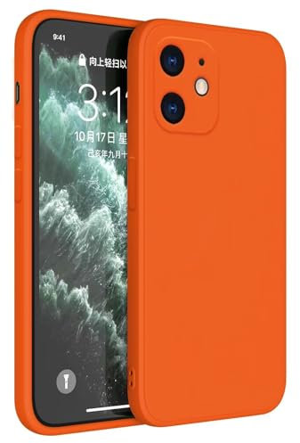 Topme Handyhülle Hülle Fur iPhone 11 (6.1 Inches) Case Schutzhülle, Hautschutz Aus TPU Silikonhülle - Orange