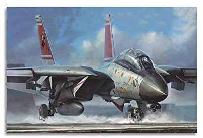 Militär-Flugzeug-Poster F-14 Tomcat Fighter Poster Dekorative Malerei Leinwand Wandposter und Kunstbild Druck Moderne Familie Schlafzimmer Dekor Poster 30 x 45 cm