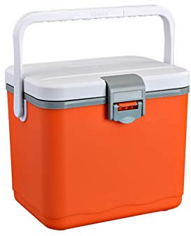 Petit réfrigérateur Véhicule monté Mini Réfrigérateur Petit étudiant Dortoir Location de voiture Chambre Accueil à double usage insuline Réfrigérateur Box Réfrigération Réfrigérateur ( Color : Orange