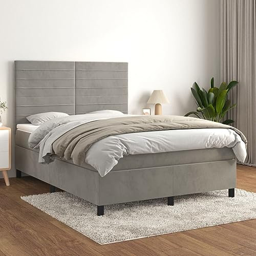 OHOOWOO Boxspringbett mit Matratze Hellgrau 140x200 cm Samt,Boxspringbett in hellem Grau aus Samt mit verstellbarem Kopfteil und Taschenfederkernmatratze