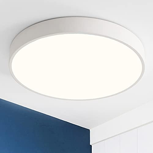 Style home 24W Deckenleuchte LED Deckenlampe ultra dünne Ø30x4cm,Warmweiß 3000K, moderne Lampe für Wohnzimmer Schlafzimmer Arbeitszimmer Kinderzimmer Büro Küche (Weiß)