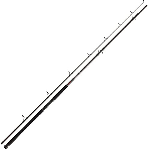 Daiwa Exceler CF Boje 2.70m 200-600g Welsrute