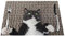 Platzdeckchen, 1–6 Sets, schwarz-weiß, Katze, waschbar, PVC-Tischsets für Küchentischsets, 30 x 45 cm (4 Stück)