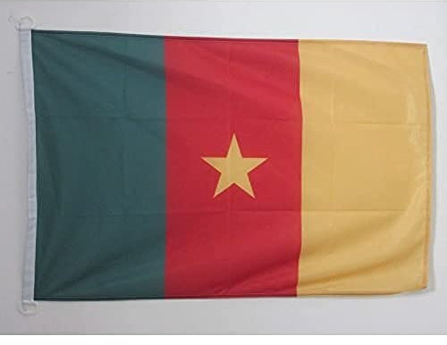 AZ FLAG - Drapeau Cameroun - 45x30 cm - Pavillon Nautique Camerounais Spécial Bateau Et Extérieur En Maille Bloquée Avec Anneaux Plastiques Intégrés - 30g