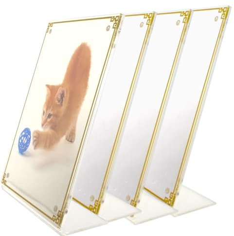 Ashoaza Cadre Photo en Acrylique 13 x 18 cm, Lot de 4, Aimantés avec Motif Doré, Magnétique Mural Transparent, Porte-Photos Magnétiques pour Tableau Photo
