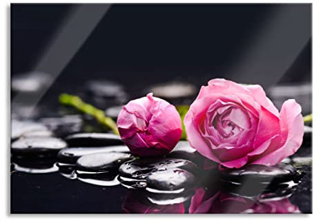 Pixxprint Glasbild, Wandbild aus Echtglas, Rosa Rosenblüte Hintergrund, 60x40 cm, inkl. Aufhängung und Abstandshalter