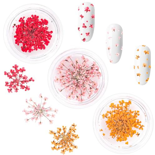 Nail Art Flowers Set Decoration - Gelnägel Zubehör 3 Farben(orange,blassrosa,Rose),Nail Art Aufkleber trockene Blumen Kit getrocknete Blumen Zubehör Set DIY Nageldekoration