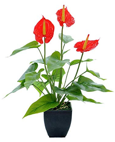 MINGZHE Flor Artificial de Anturio, Lirios de Cala, Pequeña Planta en Maceta con Maceta Negra, Flor de Bonsái Falsa para el Hogar, Oficina, Interior Y Exterior(#1)