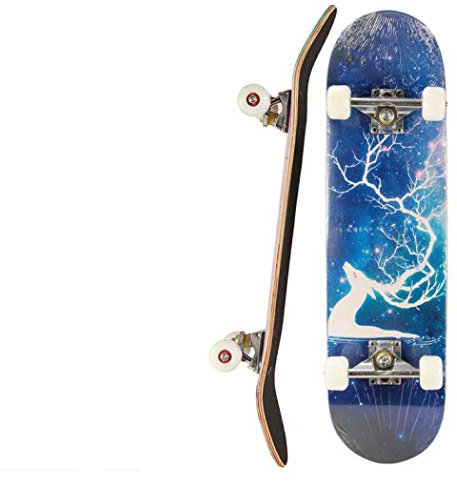 Skateboard for Beginners, 31 x 8 Complete Skateboards for Teens Beginners Girls Boys Kids Adults, Maple Double Kick Wood Skateboard (E)