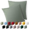 Blumtal Kissenbezug 80 x 80, 2 Stück - Oeko-TEX zert. Kissenbezüge 100% Mikrofaser in extra weich & waschmaschinenfest - Bezug Kissen 80x80 Summer Green