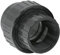 HAF® 1 raccord vissé en PVC Fittings avec manchon adhésif de 63 mm x filetage intérieur de 2 | Adaptateur en PVC U gris pour tuyaux de piscine et toutes les tuyauteries | Qualité : fabriqué en Europe