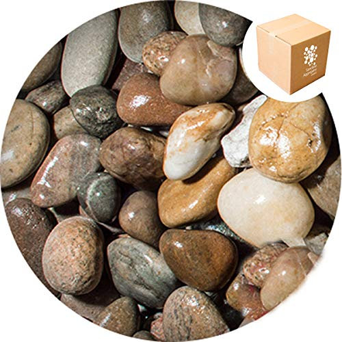 Specialist Aggregates ® - Caledonian Large Pebbles 30-50mm - 15kg | Premier Grade | Hand Selected | Fully Rounded | Decorative | Ponds | Features | Gabions
