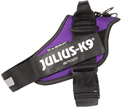 Julius-K9, IDC Powergeschirr, Größe: L/1, Dunkelviolett