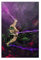 One Piece Theme Series Roronoa Zoro Anime Poster 17 Leinwand Poster Schlafzimmer Dekor Sport Landschaft Büro Zimmer Dekor Geschenk ungerahmt 30 x 45 cm