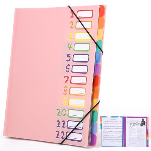 Dokumentenmappe A4,Tragbar Fächermappe mit 12 Fächern,Mit Etiketten,A4 Projektordner,mit Gummizug,Wasserdicht,zur Schreibtischorganisation und Aufbewahrung von Projektunterlagen,Rosa
