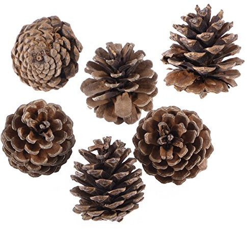 ifundom Weihnachtsdekoration, 6 Stück, 5 cm, Tannenzapfen mit Schnur, Holz, Tannenzapfen, Weihnachtsbaumschmuck, Basteln für Heimdekoration