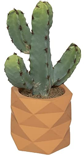 Atmosphera - Cactus Artificiel - Pot céramique H24 cm