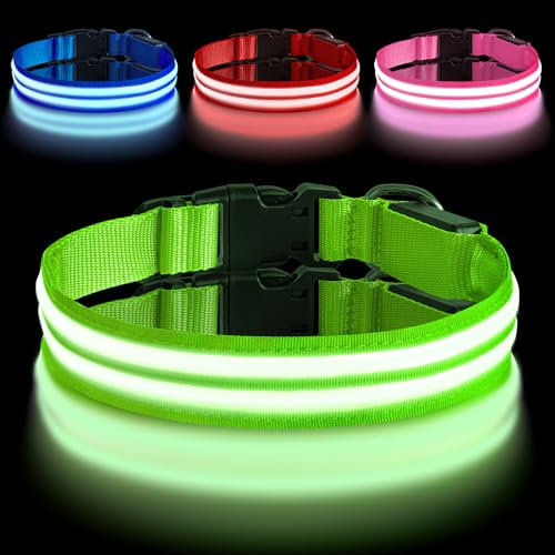 AUAUY Leuchthalsband Hund, Hundehalsband Leuchtend Aufladbar mit 3 Beleuchtungsmodi, Einstellbar Blinklicht Sicherheit Halsband, LED Hundehalsband Wasserdicht für Kleine Mittlere Große Hunde, Grün-M