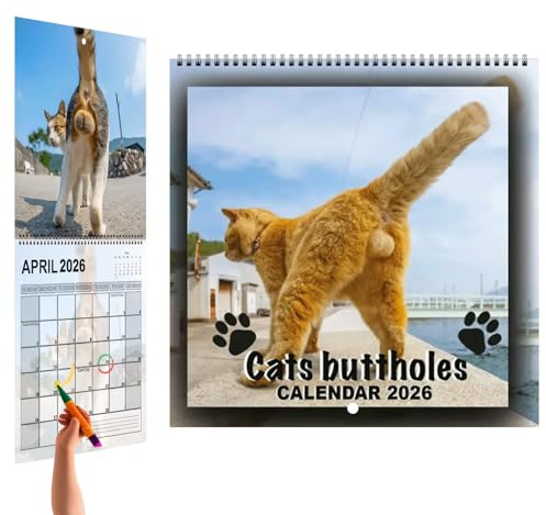 2026 Cat Ball Kalender – Cat 12 Monats-Wandkalender 2026, Terminplaner, Familienplaner, Organizer für Kühlschrank, Schreibtisch, Küche, Wohnzimmer, Schreibtisch
