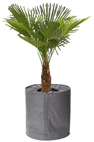 Sesua Thermo-Topfschutz Pflanzschutz 40x40cm grau