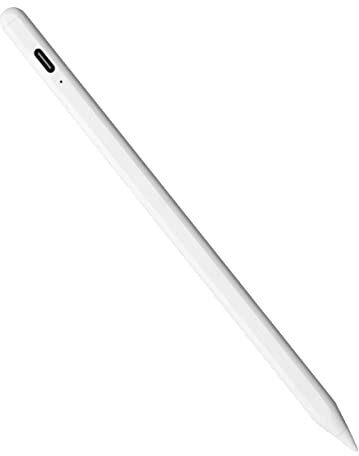 Dpofirs 2023 Aggiorna Penna Stilo per Tablet con Punte per Tablet iOS, Penne Stilo per Tablet Ad Adsorbimento Magnetico Bianche per Touch Screen, Cavo di Ricarica USB C