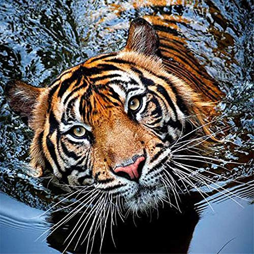 Yingxin34 Puzzle 5000 Teile für Erwachsene - Schwimmender Tiger- Wanddekoration, 5000 Teile Puzzle, Puzzle Erwachsene 5000 Teile, Puzzle 5000-61.61x41.53 Zoll (156.5 x 105.5cm)