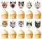 Blumomon 30 Stück Katze Geburtstag Kuchen Topper Realistische Katze Cupcake Toppers Katze Miauen Pfote Drucken Thema Kuchendekorationen Haustier Themed Partei Dekoration
