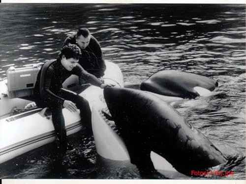 Free Willy 3: Die Rettung - Jason James Richter - 3 Pressefotos - 13x18cm (6648)