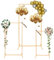 Hochzeitsbogen, Rosenbögen Hochzeitsbogen Gestell 3 Stücke EIN Set Hochzeit Blume Bogen Backdrop Stand Quadrat Ballon Foto Stand Gold/Weiß für Hochzeiten, Geburtstagsfeiern, Weihnachtsfeiern (Gold)