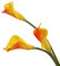 XZJMY Künstliche Calla-Lilien, 68,6 cm langer Stiel, künstliche Lilien, Blumenstrauß für Zuhause, Wohnzimmer, Schlafzimmer, Esstisch, Büro, Hochzeiten, Party, Gartendekoration (orange)