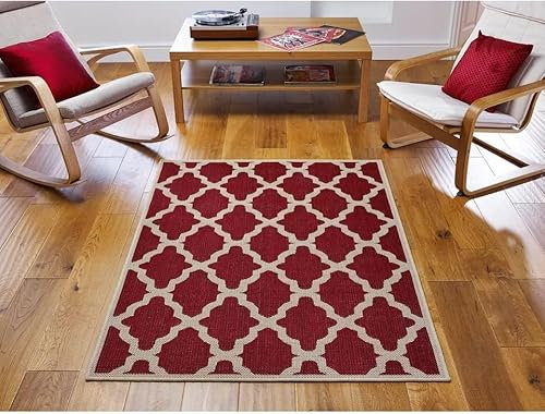 Area Rug, Trellis Black Blue Grey Red Rugs for Bedroom, Living Room, Modern Indoor/Outdoor Rugs and Carpets for Children Kids Nursery Bedside Play Room Decor (Trellis Black, 80x150cm)