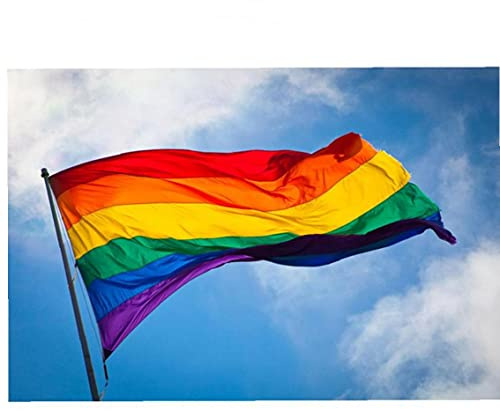 Polyester Regenbogen-flagge Große Lgbt-stolz-flagge Außen Banner 60 * 90cm