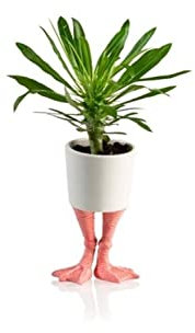 bitten Flamant rose - Mini pot de fleurs en porcelaine - Pot de fleurs