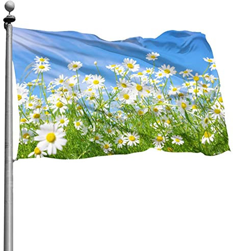 Fahnen, Frühlings-Gänseblümchen Flagge 5 Fuß x 3 Fuß mit Ösen Banner Polyester Gartenflaggen Hauswandflaggen für drinnen und draußen