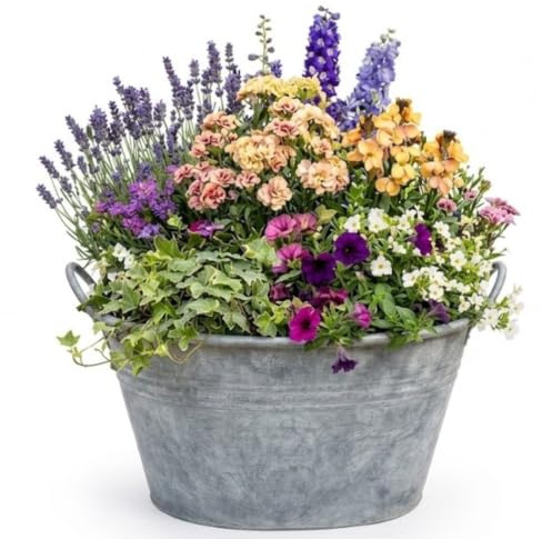 Large Decorative Round Vintage Galvanised Metal Pan Tub Flower Pot | Decorative Zinc Flower Planter & Rustic Outdoor Trough With Ear Handles