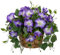 Arborus Künstliche Topf Blumen Petunie Kunstblumen Tisch Deko 22 cm Blühende Kunstpflanzen im Korb Künstliche Blumen wie Echt im Topf Dekoblumen Rustikal Deko Wohnzimmer Deko Küche Deko Bad Deko