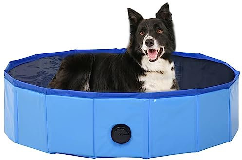 QLDDYC Wohnmöbel Garten Faltbarer Hundepool Blau 80x20cm PVC