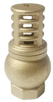 1-1/2 BSP Female Thread Brass Check Valve Strainer Filter Foot Valve Bottom Valve