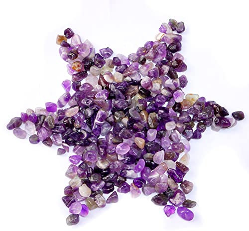 gemshan 1lb Natural Amethyst Drumed Chips - Irregular Small Drumed Healing Gemstone, No Holes, Mini Shotstone Crystal Splitter