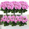 FAJUNZH Confezione da 4 fiori artificiali per esterni, fiori di geranio viola in seta, resistenti ai raggi UV, piante da giardino, cespuglio, fiori finti per casa, matrimonio, cucina, tavolo,