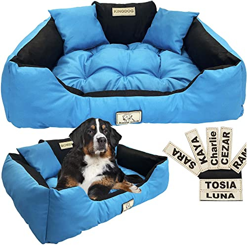 EDANTI Lit pour chien Coussin pour chien Lit pour chat Personnalisé Canapé pour chien avec nom L - XL pour grands, moyens et petits chiens (Bleu, 130x105 cm)
