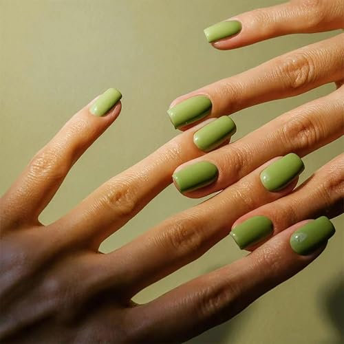 Ceboic 24 Pièces Faux Ongles Court Soft Gel Carré Acrylique Faux Ongles Autocollants Pleine Couverture Ongles à Coller French Press on Nails pour Femmes et Filles DIY Nail Art - Vert Avocat
