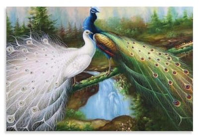 HLXZMCVBT Pfau Leinwandbilder Bilder ， Wandkunst Modern ，farbenfroh Wandbilder Wohnzimmer Groß Wand Bild, Für Wohnzimmer Schlafzimmer Fertig Zum Aufhängen 20x30inch(50x75cm)