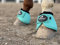 TGW RIDING 2520D Pferdeglocken ohne Umdrehen Pferde Glockenstiefel Ballistic Hufglocke Paar (Mint, M)