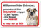 AdriLeo Schild - Vorsicht Englische Bulldogge - Willkommen lieber Einbrecher - (40x60cm) / Achtung Hund Wachhund robust langlebig UV-beständig wetterfestes Warnschild