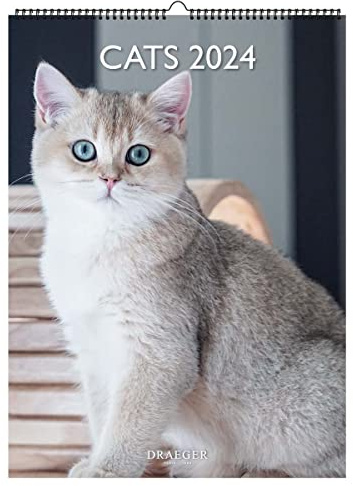 DRAEGER PARIS | Dekorativer Wandkalender Katzen 2024 zum Aufhängen 29 x 39 cm | 16 Monate 23. September bis 24. Dez | 7 Sprachen | Bürokalender, Zuhause, monatlich | Dekoration, Organisation |