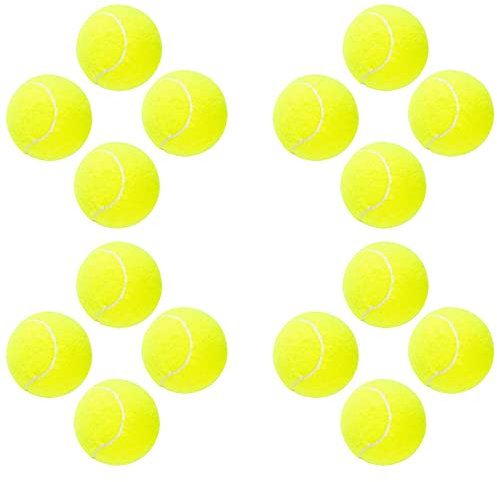 ptlsy Hunde-Tennisbälle, 16 Stück, leicht zu fangen, Haustier-Tennisbälle für Hunde, interaktive Hundebälle, Standardgröße, Tennisbälle für Werfen und Apportierspiel (6.3 cm)