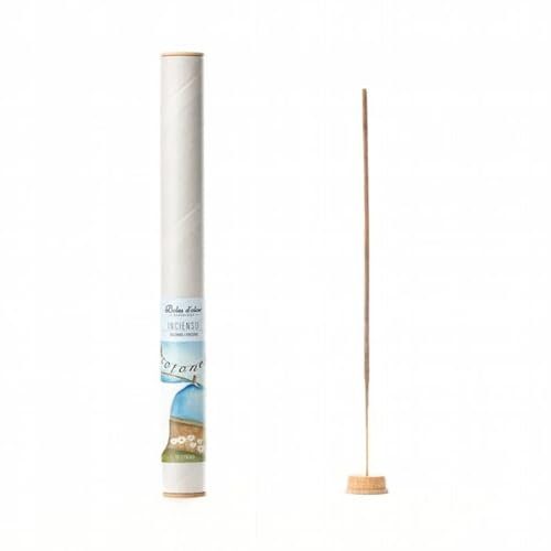 Inciensos Ambiente 16 sticks Cotonet